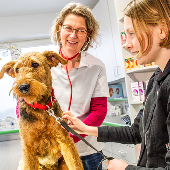Vorschau von Tierarztpraxis Brand