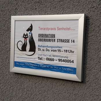 Vorschau von Prakt. Tierarzt Mag. Johannes Senheitel