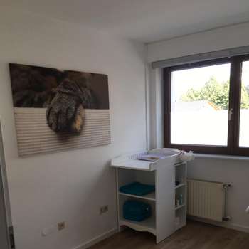 Vorschau von Hund Katze Haut - Königswinter