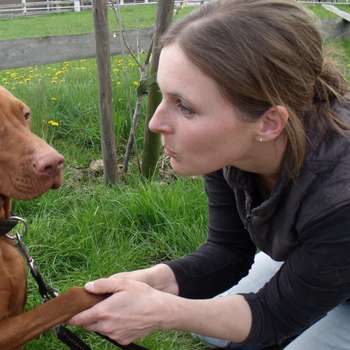 Vorschau von Tierarztpraxis Uta Bunge - Praxis für Veterinärchiropraktik