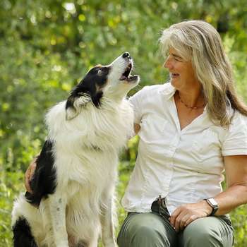 Vorschau von Tierarztpraxis Dr. Viola Hebeler Fachtierärztin für Pferde / Sportmedizin Hund