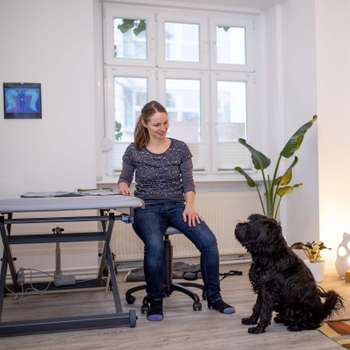 Vorschau von Osteopathie für Tiere Marion Hatting