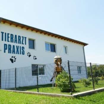 Vorschau von Tierarzt Praxis Diplom Tierärztin CCRP Jutta Schlapschy
