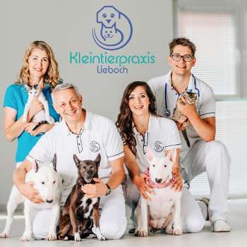 Vorschau von Kleintierpraxis Lieboch