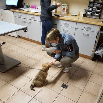 Vorschau von Dr.med.vet. Ina Spreckels Tierärztin
