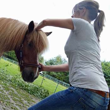 Preview of Tierärztliche Chiropraxis Astrid Nüllmann