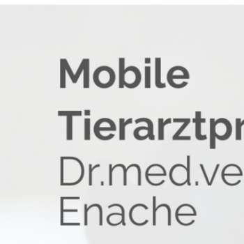 Vorschau von Mobile Tierarztpraxis für Pferde und Kleintiere Regenstauf