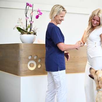 Vorschau von OrthoDoc Vet – Tierarztpraxis mit Schwerpunkt Orthopädie und Physiotherapie