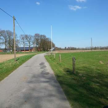 Vorschau von Tepferd
