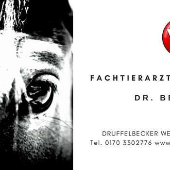 Vorschau von Fachtierarztpraxis für Pferde Dr. Bednarczyk