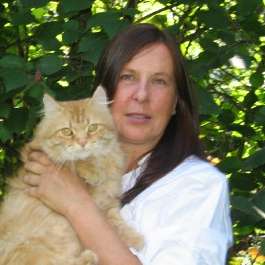 Preview of Prof. Dr. Beatrix Meier