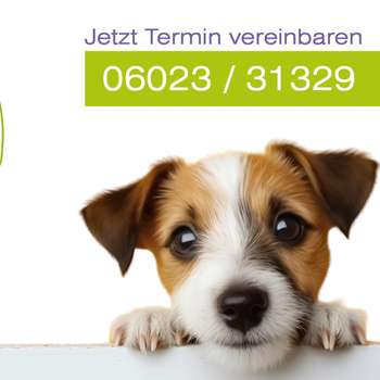 Vorschau von Tierärztliche Praxis Alzenau