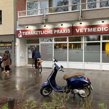 Vorschau von VETMEDICO - Tierärztliche Praxis Dr. Gervers