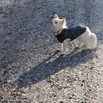 Vorschau von Tierarztpraxis Gaum