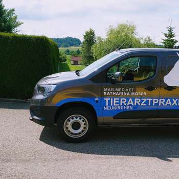 Vorschau von Tierarztpraxis Mag. Med. Vet. Katharina Moser