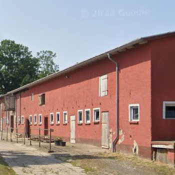Vorschau von Mau Reinhard und Dirk