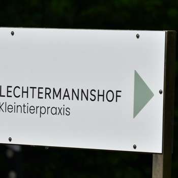 Vorschau von Kleintierpraxis Lechtermannshof Ulrike Gehner