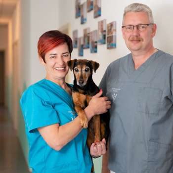 Vorschau von Tierarzt Welden, Tierarztpraxis Welden