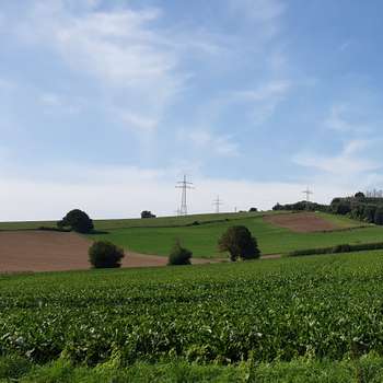 Vorschau von Jens Mühlberg