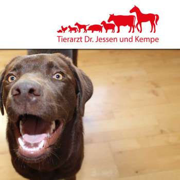 Vorschau von Tierarztpraxis Stefan Kempe