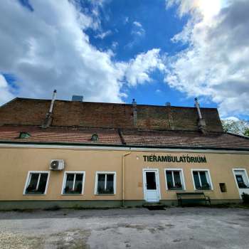 Vorschau von Tierambulatorium Inzersdorf
