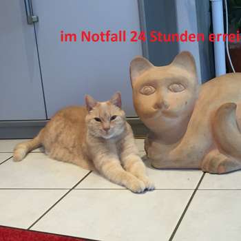 Vorschau von Dr. Joachim Pichler Praktischer Tierarzt
