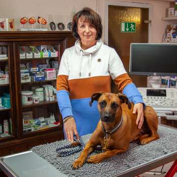 Vorschau von Dr.med.vet. Ulrike Bickelmann