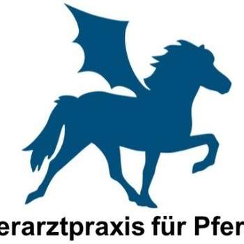 Vorschau von Dr. Ronja Burmeister Tierarztpraxis für Pferde