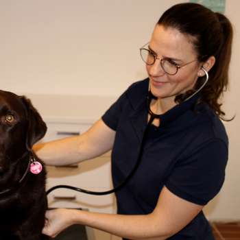 Vorschau von Tierarzt Münsing -Tierärztliche Praxis für Klein- und Heimtiere Dr. med. vet. Andrea Rütz, MBA