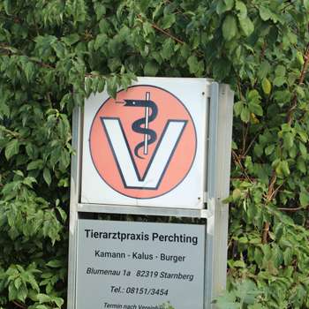 Vorschau von Tierarztpraxis Perchting