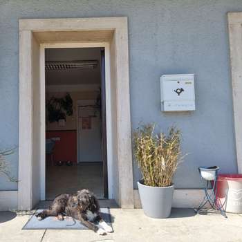 Vorschau von Mag Bacher Maria