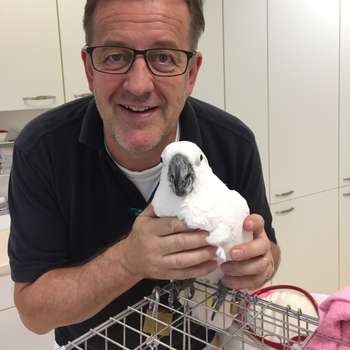 Vorschau von Tierarztpraxis PD Dr. med. vet. Thomas Göbel