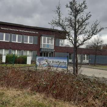 Vorschau von Verband Deutscher Brieftaubenzüchter Taubenklinik
