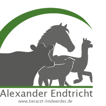 Vorschau von Tierarztpraxis Lindwerder
