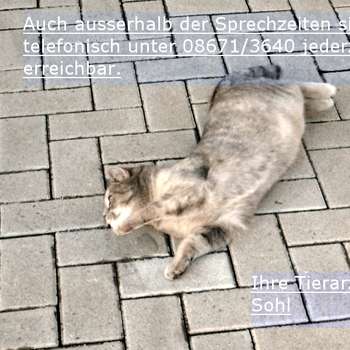 Vorschau von Tierarztpraxis Robert Sohl