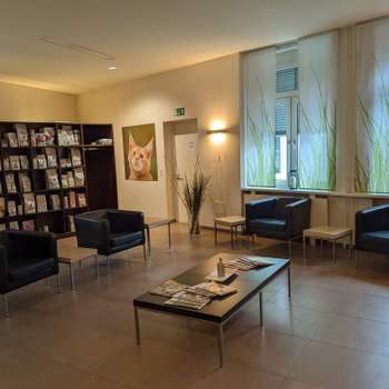 Vorschau von Katzenklinik Frankfurt
