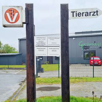 Vorschau von Physiotherapie für Kleintiere Daniela Schütte