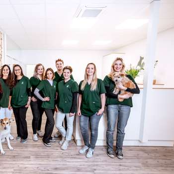 Vorschau von Tierarzt Weinheim Tierarztpraxis Kumpf