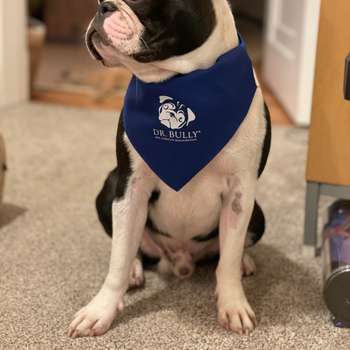 Preview of Tierarztpraxis Quehenberger - Dr. Bully