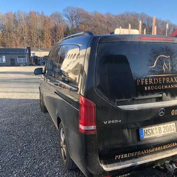 Preview of Pferdepraxis Brüggemann