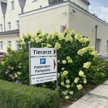 Vorschau von Dr. Stephanie Schumacher