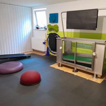 Vorschau von Die Schmerzbehandlerin - Physiotherapie und Osteopathie für Hunde