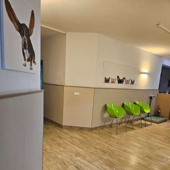 Vorschau von Tierklinik Weilheim