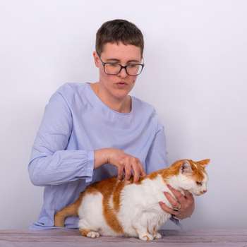Vorschau von TIERARZT LAXENBURG DR. ASTRID NAGL
