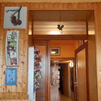 Vorschau von Dagmar Kriegler Tierärztin