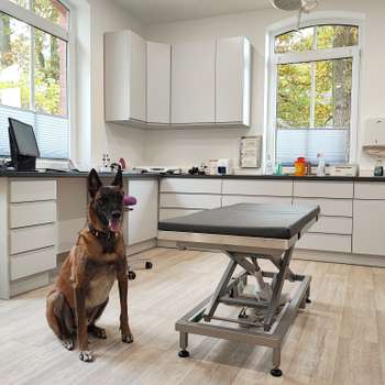 Vorschau von Villa Vets