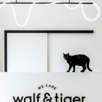 Vorschau von Wolf & Tiger Tierarztpraxis Berlin Breslauer Platz