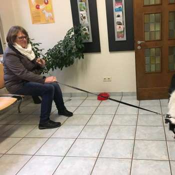 Vorschau von Tierärztliche Gemeinschaftspraxis Beeke & Grijsen