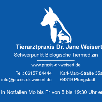 Vorschau von Tierarztpraxis Dr. Jane Weisert