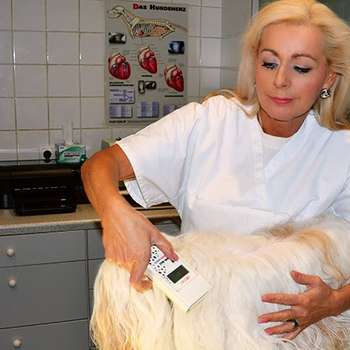 Vorschau von Tierarzt Dr. Tilzer Regina, 1060 Wien